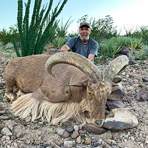 Texas Aoudad Hunt - Conservation First USA : Conservation First USA